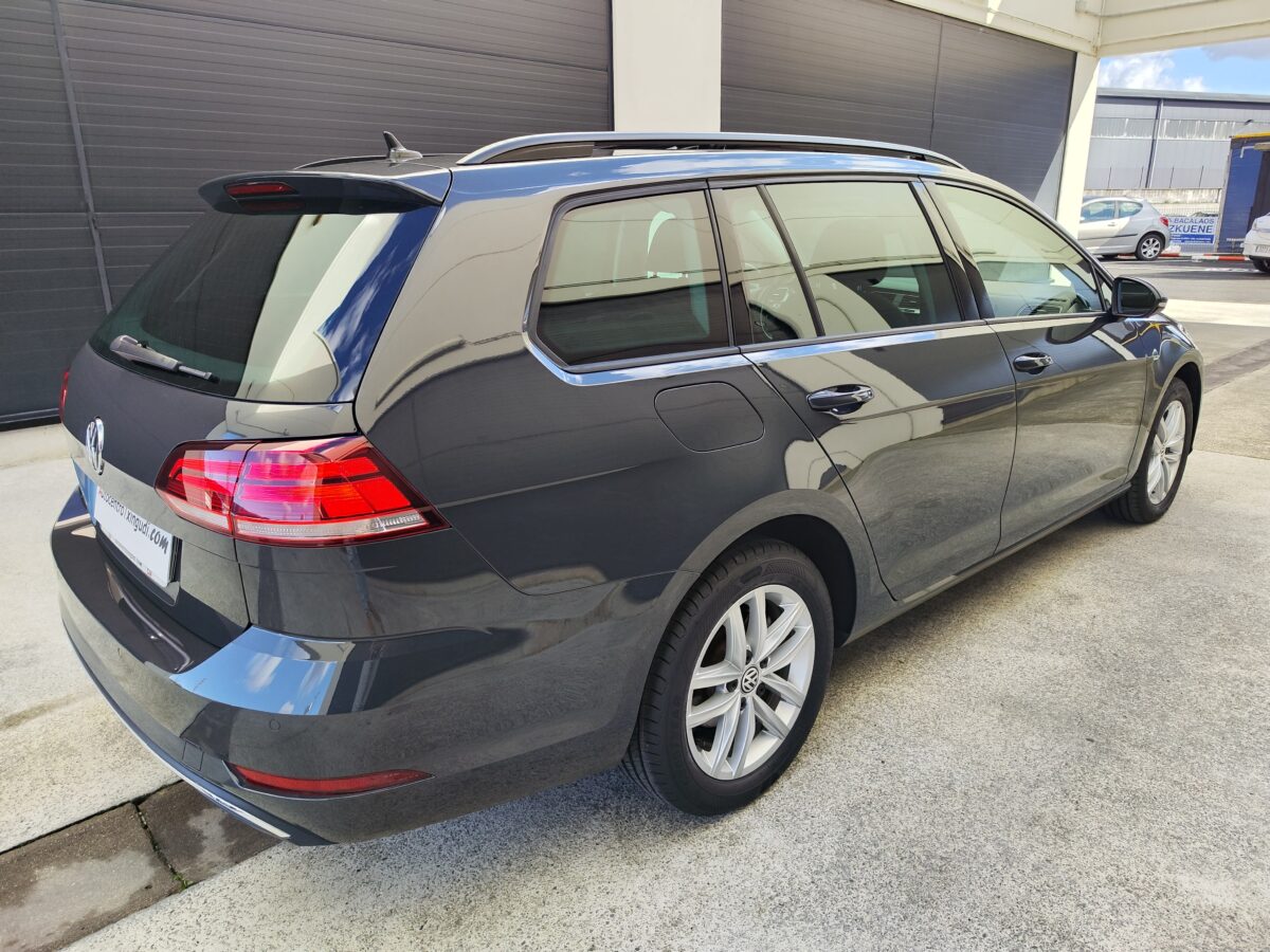 VOLKSWAGEN Golf Variant Advance 1.6 TDI 115 CV