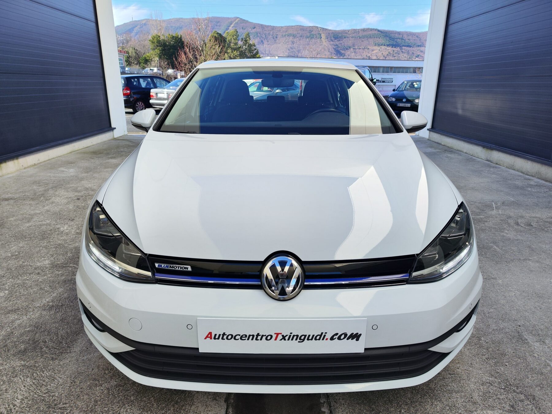 VOLKSWAGEN Golf Last Edition 1.5 TSI 130 CV