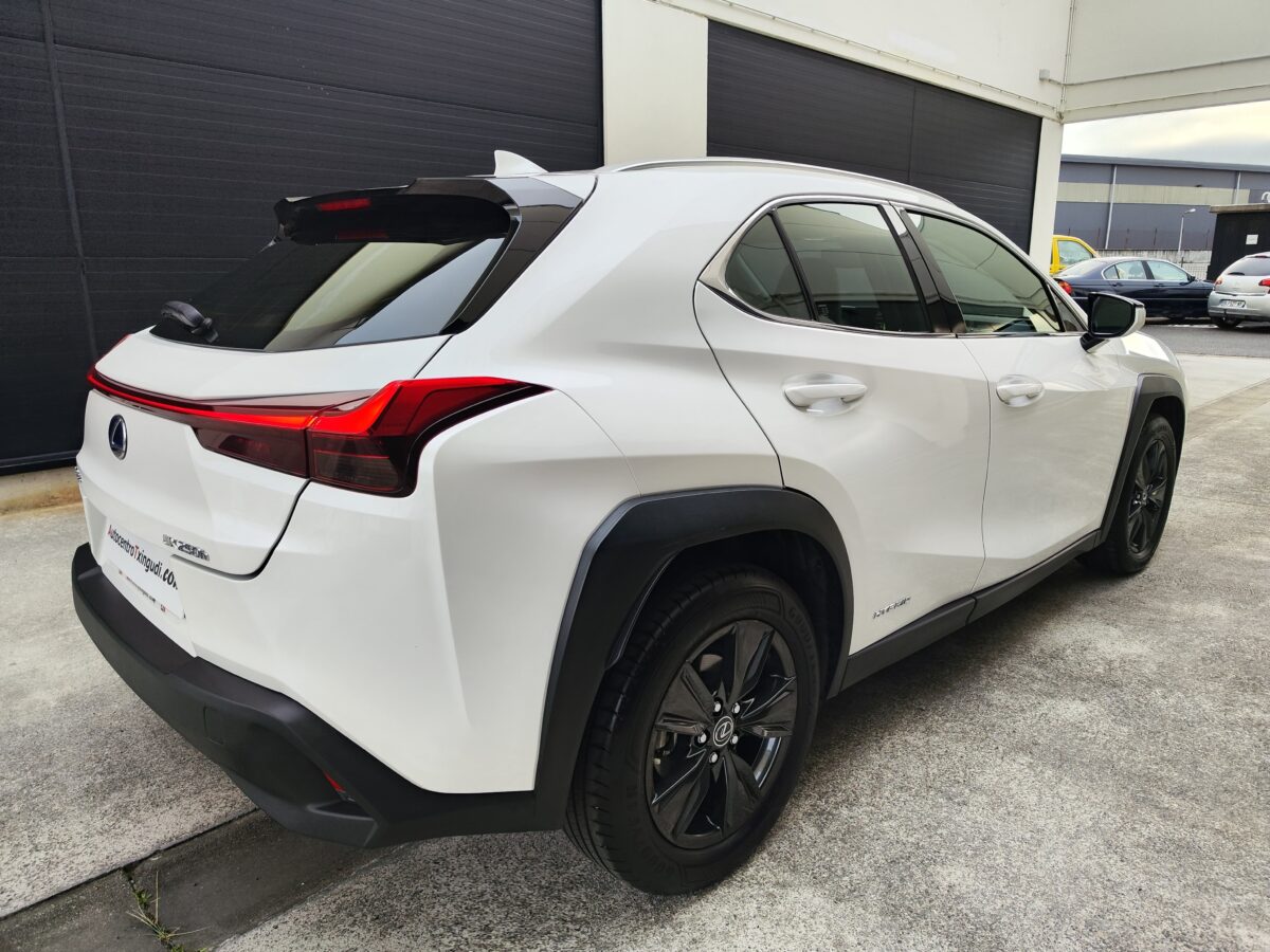LEXUS UX 2.0 250H BUSINESS NAVIGATION 184 CV