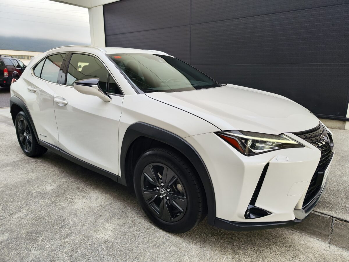 LEXUS UX 2.0 250H BUSINESS NAVIGATION 184 CV