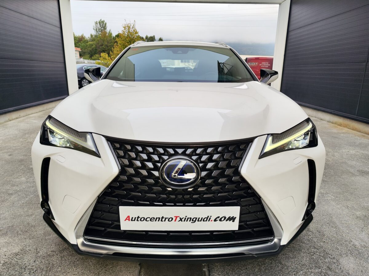 LEXUS UX 2.0 250H BUSINESS NAVIGATION 184 CV