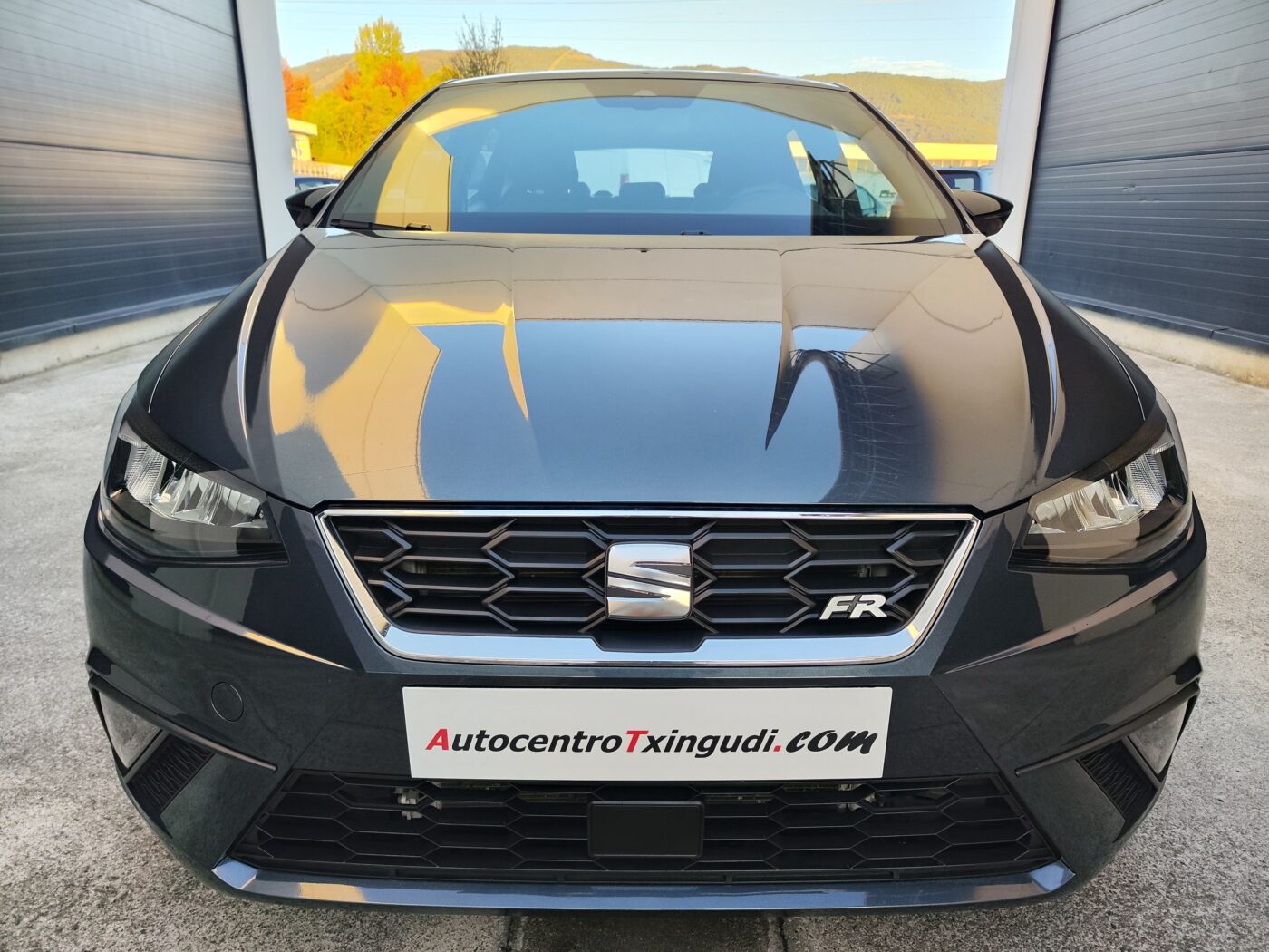 SEAT IBIZA 1.0 TSI S&S FR XS 115 CV